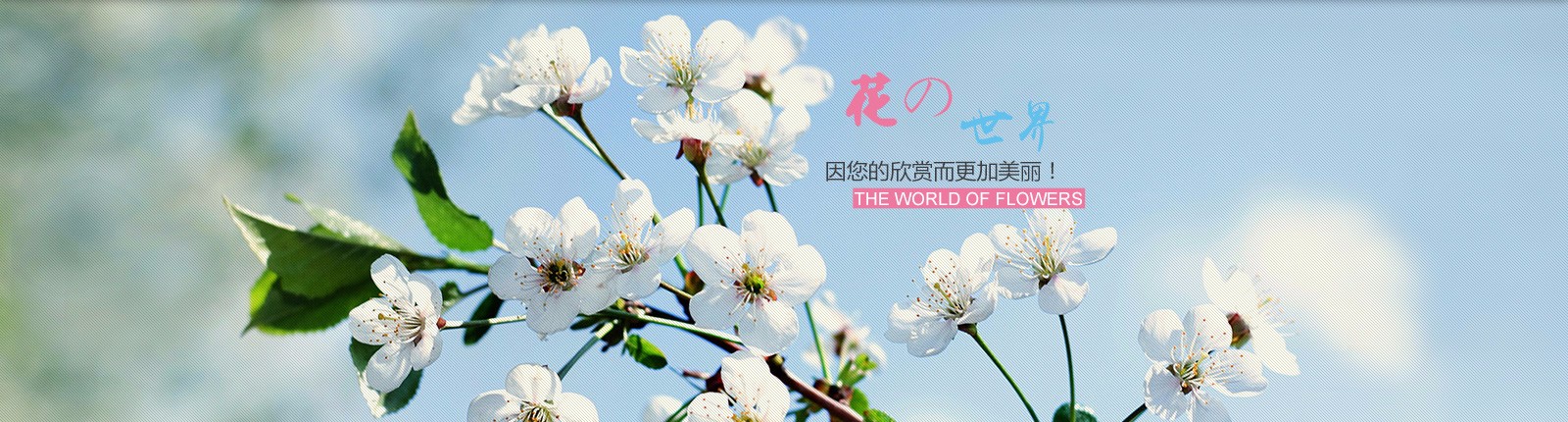 花卉园林种植展示网站模板