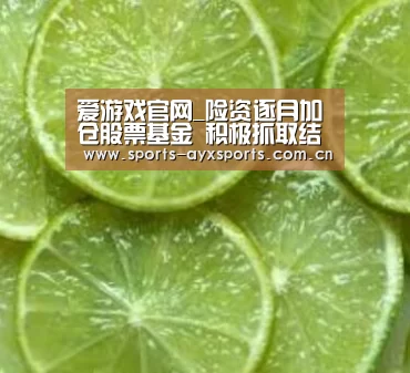 爱游戏官网_险资逐月加仓股票基金 积极抓取结构性机会(图2) 爱游戏app