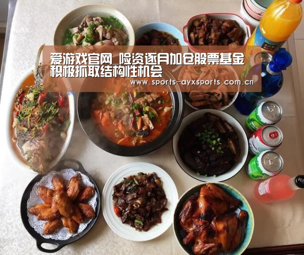 爱游戏官网_险资逐月加仓股票基金 积极抓取结构性机会(图1) 爱游戏官网