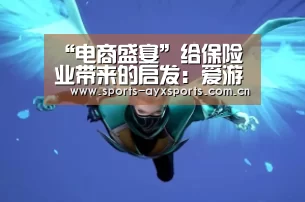 “电商盛宴”给保险业带来的启发:爱游戏体育直播(图2) 爱游戏体育直播