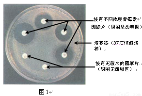爱游戏官网