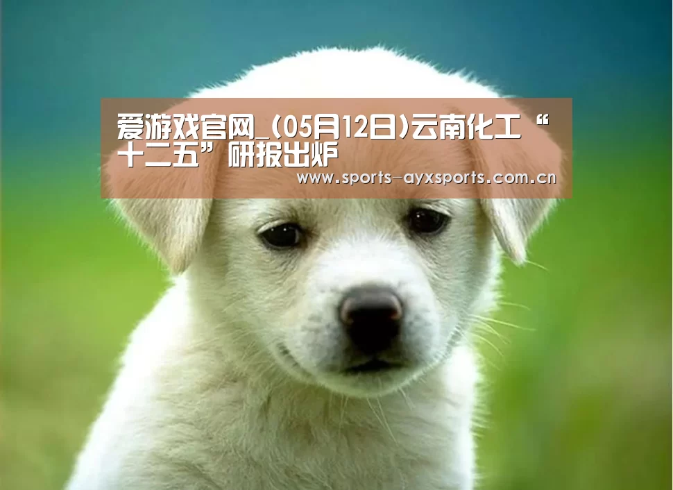 爱游戏官网_(05月12日)云南化工“十二五”研报出炉(图1) 爱游戏平台