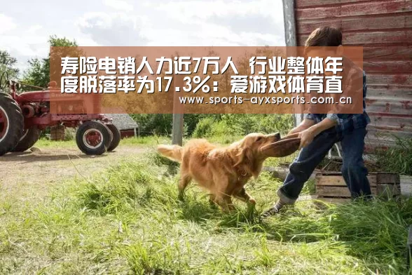 寿险电销人力近7万人 行业整体年度脱落率为17.3%:爱游戏体育直播(图2) 爱游戏体育直播
