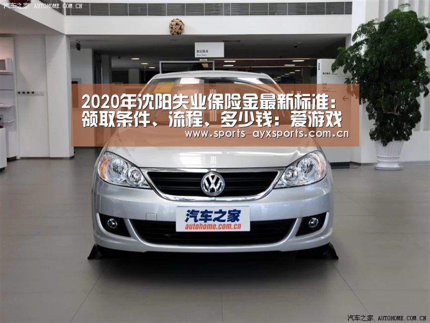 2020年沈阳失业保险金最新标准:领取条件、流程、多少钱:爱游戏官网(图4) 爱游戏app