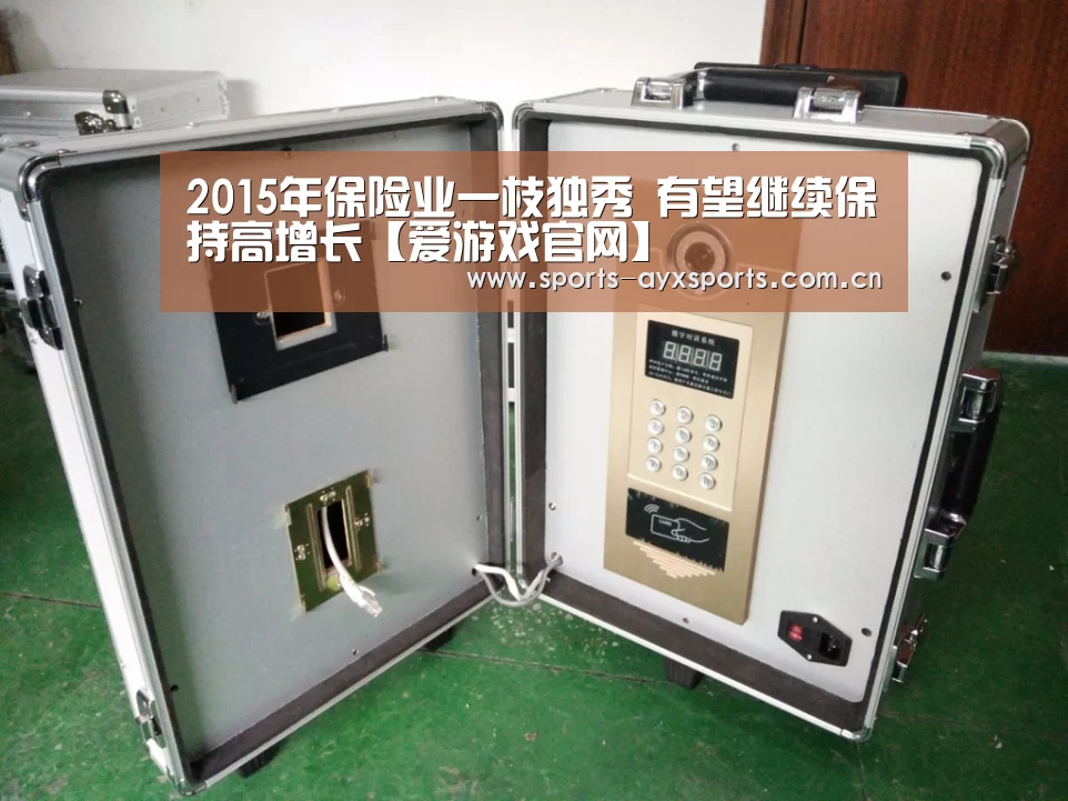 2015年保险业一枝独秀 有望继续保持高增长【爱游戏官网】(图4) 爱游戏官网