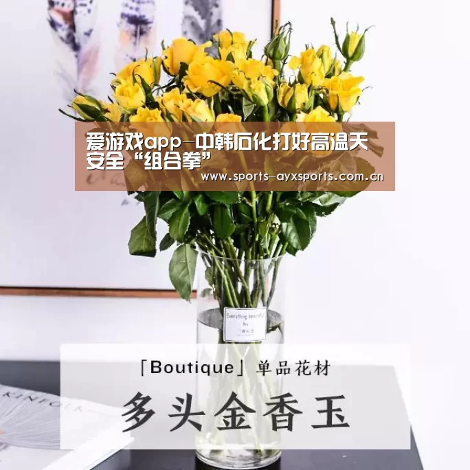 爱游戏体育直播