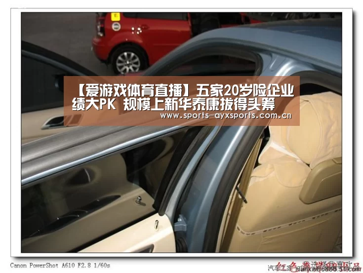 【爱游戏体育直播】五家20岁险企业绩大PK 规模上新华泰康拔得头筹(图3) 爱游戏平台