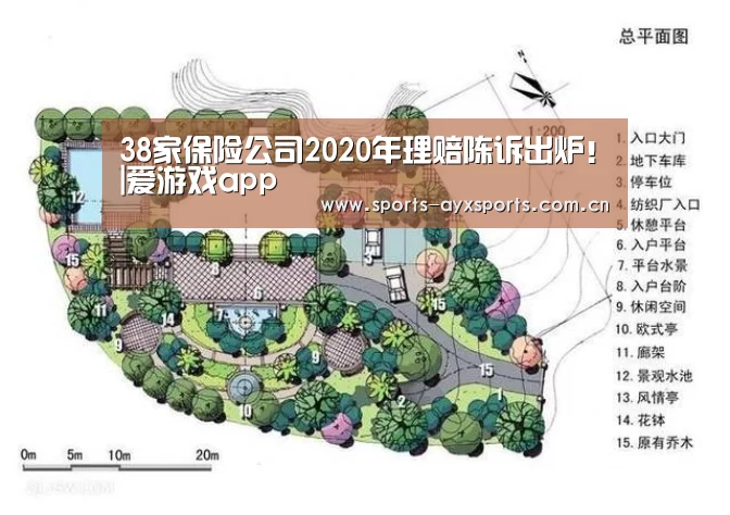 38家保险公司2020年理赔陈诉出炉!|爱游戏app(图3) 爱游戏平台