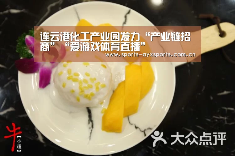 连云港化工产业园发力“产业链招商”“爱游戏体育直播”(图3) 爱游戏平台