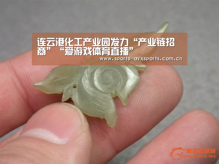 连云港化工产业园发力“产业链招商”“爱游戏体育直播”(图2) 爱游戏官网